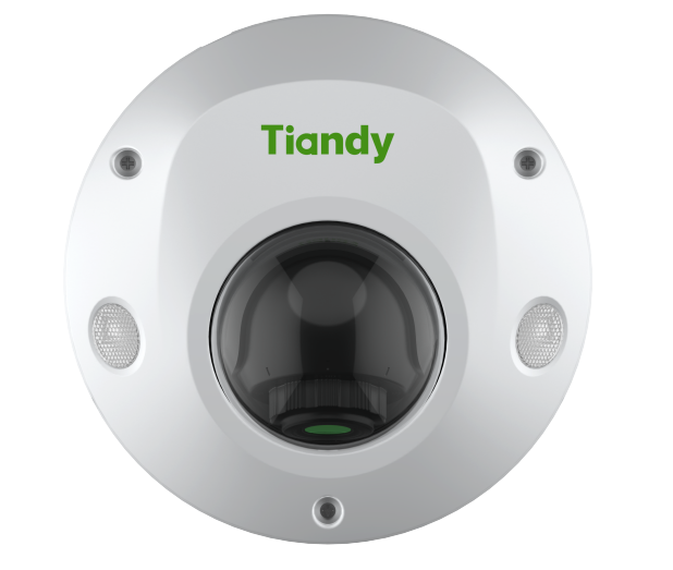 2MP Mini Dome Camera